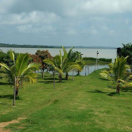 The Peepal Tree, Kabini Begūr Kültér fotó